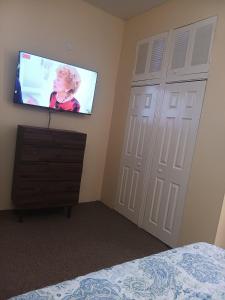 a bedroom with a flat screen tv and a door at Cozy Kingston Flat in Kingston