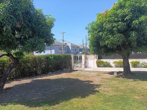 a yard with a fence and a gate and two trees at Cozy Kingston Flat in Kingston
