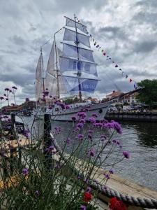 a sail boat is docked in a harbor with purple flowers at Haustory Deluxe Apartment in Klaipėda