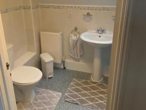 a small bathroom with a toilet and a sink at The Old Cider Barn in Wells