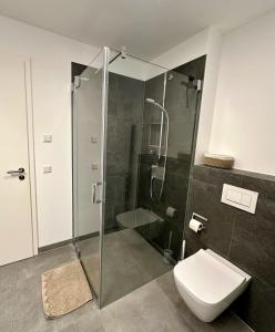 a bathroom with a glass shower and a toilet at Autumn Apartment in Gerbrunn
