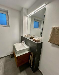 a bathroom with a sink and a mirror at Autumn Apartment in Gerbrunn