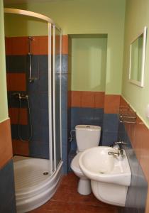 e bagno con doccia, servizi igienici e lavandino. di Straszny Dwór a Zieleniec