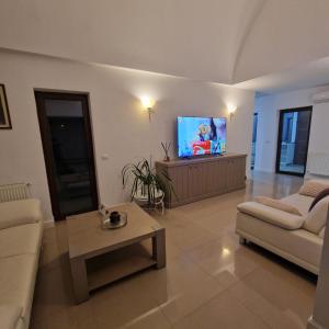 a living room with a couch and a flat screen tv at Viilor Panoramic in Baia Mare