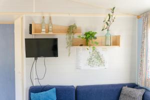 a living room with a blue couch and a tv at Louisiana in Anloo
