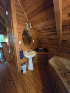 a bathroom with a sink and a bath tub at Mountain Memories - RRG in Rogers +7 photos