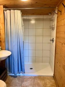 a bathroom with a shower and a sink at Mountain Memories - RRG in Rogers
