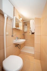 a small bathroom with a toilet and a sink at Apartmani Kaštel in Stara Novalja +65 photos