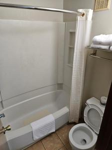 a bathroom with a white tub and a toilet at Hotel Deerfield Inn & Suites Acworth Atlanta in Acworth