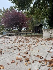 a park with a picnic table and leaves on the ground at The Clothiers Arms in Stroud