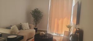 a living room with a couch and a potted plant at Lace Luxe Homes in Tatu City +2 photos