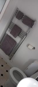 a bathroom with a toilet and towels on a shelf at Lilypad in Devizes