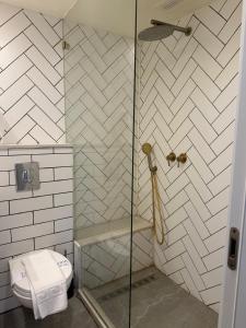 a bathroom with a shower and a toilet at חדר על הים בבת ים in Bat Yam +19 photos