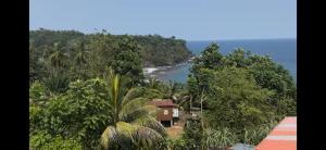 a house in the jungle with a view of a beach at Villa Sete Ondas in Ribeira Afonso