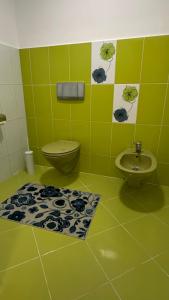 a green bathroom with a toilet and a sink at Apartman Staro Petrovo Selo in Staro Petrovo Selo