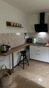 a kitchen with a counter top with a microwave at Apartman Staro Petrovo Selo in Staro Petrovo Selo +9 photos