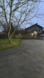a tree in front of a barn with a house at Apartman Staro Petrovo Selo in Staro Petrovo Selo