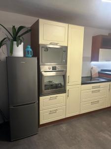 a kitchen with a refrigerator and a microwave at Byt v podzámčí in Litomyšl +8 photos
