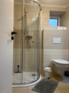a bathroom with a shower and a toilet at Byt v podzámčí in Litomyšl