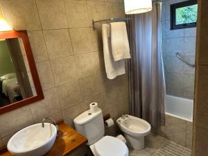 a bathroom with a toilet and a sink and a shower at Paraiso Patagónico Bungalows and Aparts in El Calafate +50 photos