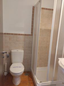 a bathroom with a toilet and a shower and a sink at El rincón del Vadillo in La Velilla