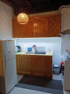 a kitchen with wooden cabinets and a white refrigerator at Aπανεμα Ανδ συγγρου 34 in Galaxidi