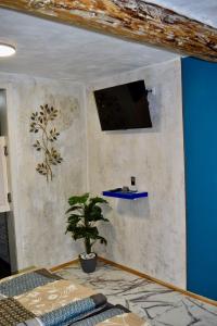a room with a tv on a wall with a plant at Casa Alba in Mastershausen