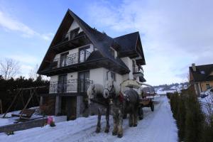 a horse drawn carriage in front of a house at Pokoje gościnne u Sołtysów in Jurgów