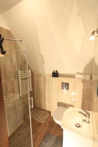 a bathroom with a shower and a toilet and a sink at Pokoje gościnne u Sołtysów in Jurgów +13 photos