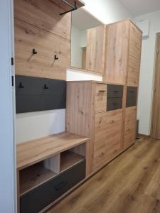 a closet with wooden cabinets and a mirror at Cosy central apartment in Litija