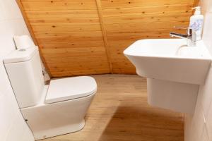 a bathroom with a white toilet and a sink at Pensión Cabañas Bosque Máxico de Bonxe in Outeiro de Rei