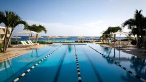 a swimming pool with palm trees and umbrellas at Curaçao Marriott Beach Resort in Willemstad