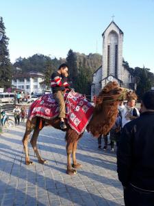a man riding on the back of a camel at Beautiful Homestay Sapa in Sapa