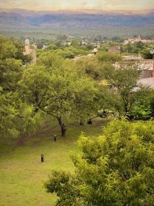 a green field with trees and mountains in the background at Casas de campo Traslasierra in Villa Cura Brochero