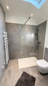 ein Badezimmer mit Toilette, Dusche und Waschbecken in der Unterkunft Schmuckes Rustico in Pianezzo