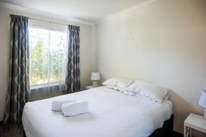 a bedroom with a white bed and a window at Middleton Mews in Albany