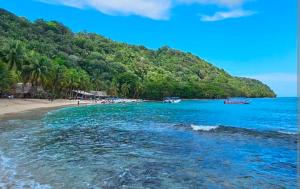 a beach with a bunch of trees and a bunch of water at H Boutique Blessed in Tela