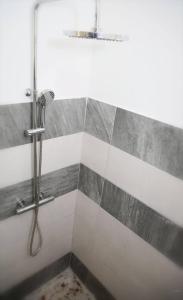 a shower in a bathroom with gray and white tiles at Appartement Ti Colibri in Rivière-Salée