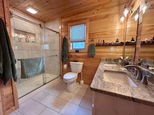 a bathroom with a toilet and a shower and a sink at Riverfront Blue Jay Cabin in Murphy +31 photos