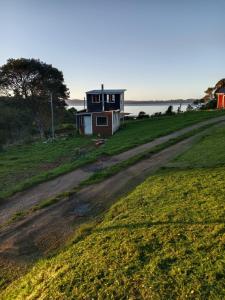 a small house on a field with a dirt road at Cabaña El ulmo in Quelalmahue