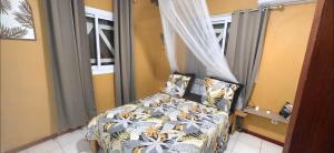 a bedroom with a bed with a canopy and a window at Au cœur de douenel bouillante cheques vacances acceptées in Bouillante