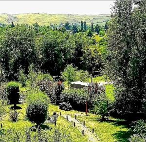 a garden with a lot of plants and trees at Cabañas el Recodo de Potrero in Potrero de Garay