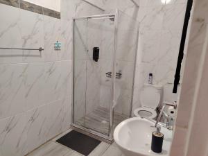 a bathroom with a shower with a toilet and a sink at Aloe Haven in Lichtenburg