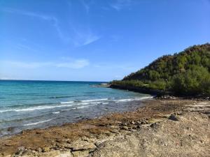 a beach with the ocean and trees on it at Catchy & Traveler-Friendly Room in Dibba