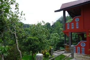 Zahrada ubytování Hotel Orangutan