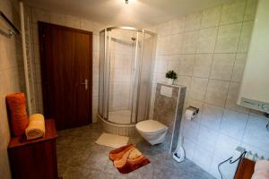 a bathroom with a shower and a toilet at Ferienhaus Schmittenhof in Biberwier