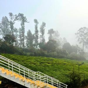 a bridge over a green field with trees in the background at Prysm Homestay - Kotagiri in Kotagiri +15 photos