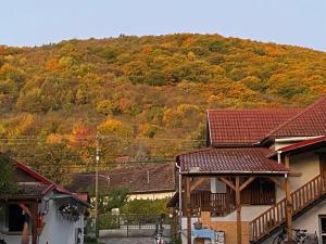 a mountain with autumn trees on a hill at Holló Vendégház in Szögliget