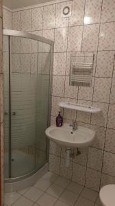 uma casa de banho com um lavatório e um chuveiro em Berzu aleja em Birštonas