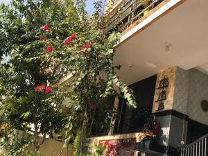 a tree with pink flowers in front of a building at Vishnoo Stays Lush Green Room in Atal Nagar in Nawāgaon